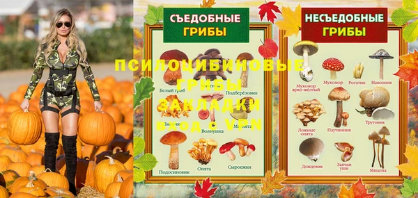 spice Волосово