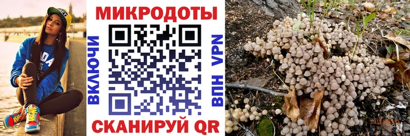 Псилоцибиновые грибы прущие грибы  мега вход  Дегтярск 